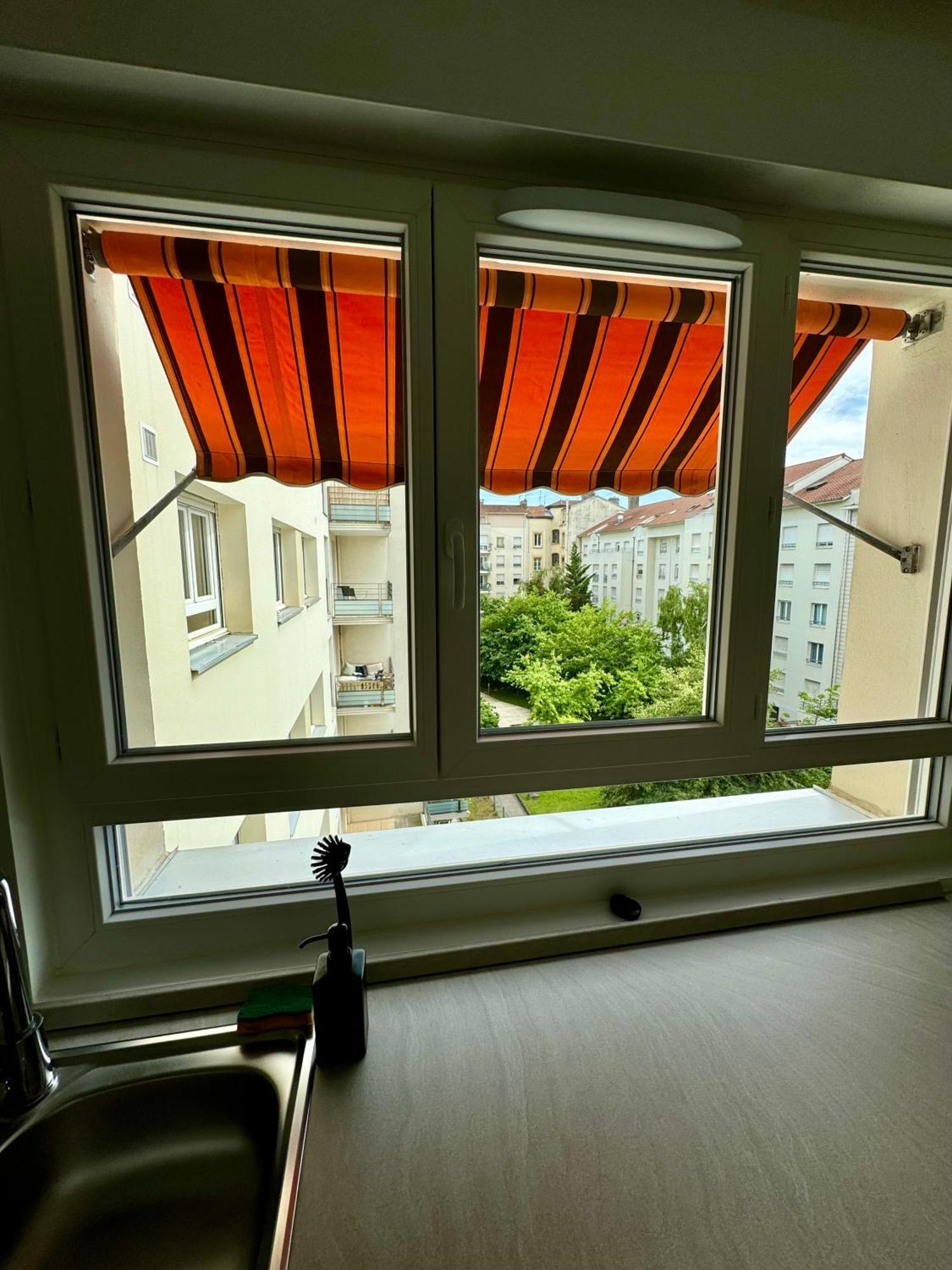 Le Lac - Appartement 15' Partdieu Et Bellecour Lyon Ngoại thất bức ảnh